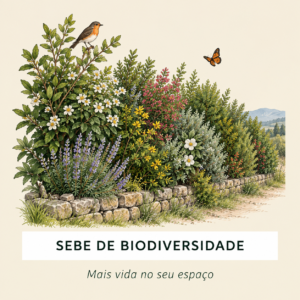Pack Sebe de biodiversidade autóctone